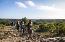 2 Day Addo Elephant Park Safari