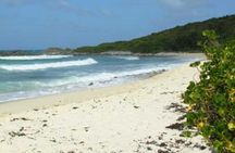 St. Martin or St. Maarten: Nature Hike Secret Beach Tour