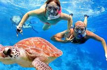  Blue Lagoon Snorkeling with Lunch and Private Transport
