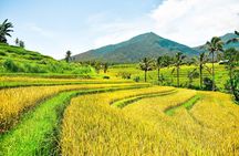 Bali Full-Day Private Customize Tour
