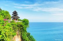Bali Full Day Private Tour with Driver
