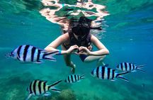 Full Day Snorkeling in Perhentian Island