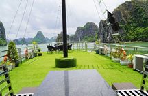 Halong Bay Standard Day Tour with Expressway Transfer from Hanoi 