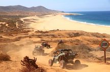 NEW!! Camel Ride and UTV Combo with Tequila Tasting Los Cabos