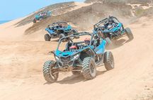 UTV 4X4 Cabo Adventure, Beach Ride & Tequila Tasting