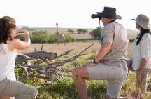 8 Day private wildebeest migration safari Serengeti Ngorongoro
