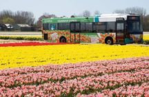 Keukenhof and Zaanse Schans: Windmills and Tulips Guided Day Tour