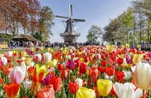 Keukenhof and Zaanse Schans: Windmills and Tulips Guided Day Tour