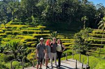 Ubud : Hidden Gems Waterfalls and Private tour
