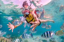 Experience Pattaya Tour with Water Activities 