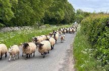 Private Day Tour from Bath to the Captivating Cotswolds
