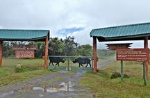 2 Days Aberdare National Park & Solio Ranch Safari 