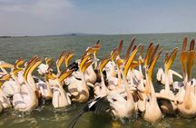 Day Trip Bahir Dar, Lake Tana and Blue Nile Falls Tours