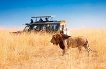 Serengeti Great Migration 5 Days Mara River crossing