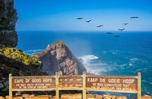 Cape of Good Hope Penguins Private Tour Customizable Experience