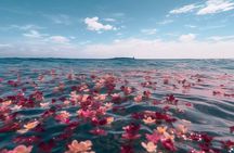 Galveston Burial at Sea: Celebration of Life Charter