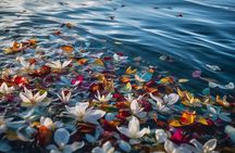 Galveston Burial at Sea: Celebration of Life Charter