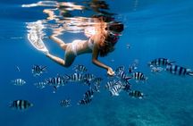 Private 1/2 Day Afternoon Snorkel / Cruise on "Shady Grady"