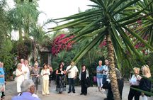 Mods & Icons Tour of Palm Springs