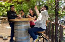 Private Tour in Guadalupe Valley, Vine Yards & Wine Route ENS MX