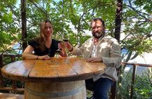 Private Tour in Guadalupe Valley, Vine Yards & Wine Route ENS MX