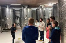 Private Tour in Guadalupe Valley, Vine Yards & Wine Route ENS MX