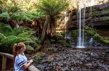 Hobart: Waterfalls, Wilderness & Wildlife - Active Day Tour