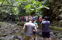 St. Kitts Rainforest Rumble (with Snacks)