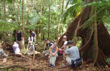 St. Kitts Rainforest Rumble (with Snacks)