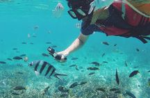 3 Days and 2 Nights Tioman Tour Package from Singapore
