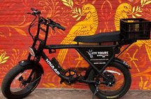 Eindhoven: E-Fatbike Tour In The Footsteps of Vincent van Gogh
