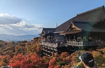 Tour in Kyoto with a Goverment Certified Tour Guide