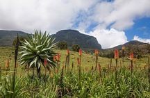6 Days Bale Mountains Trekking
