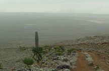 6 Days Bale Mountains Trekking