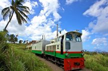 The Kittitian Scenic Train Experience