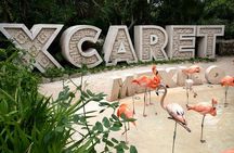 Xcaret Plus Full Day Tour