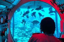 Atlantis Submarines Night Tour