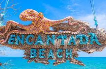 Discover Isla del Rosario Live The Enchanted Beach Experience