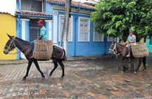 Private Countryside Full-Day Tour to Cachoeira - Lunch Included
