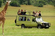 5 Day Private Guided Wildebeest Migration Tour