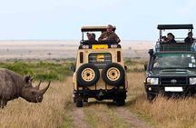 5 Day Private Guided Wildebeest Migration Tour