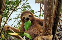 Full Day Private Tour of Palo Verde National Park