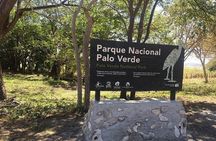 Full Day Private Tour of Palo Verde National Park