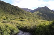 Anchorage Wilderness & Wildlife Tour-Reindeer Fun & Hatcher Pass