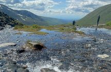 Anchorage Wilderness & Wildlife Tour-Reindeer Fun & Hatcher Pass