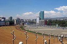 Addis Ababa Private Tour