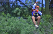 Explore the Mayan Jungle with Ziplines, cenote and bungee swing