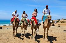 Morocco: Tangier Private Tour from Malaga & Tarifa. All Inclusive