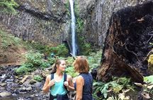 Explore Columbia River Gorge Half-Day Small-Group Hiking Tour