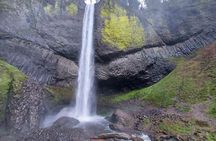 Afternoon Tour in Columbia Gorge Waterfall with Free Wine Tasting